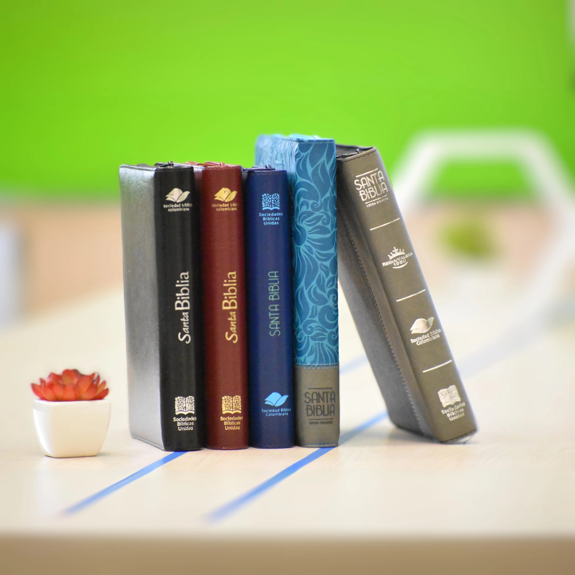 Biblias_Categorias.webp
