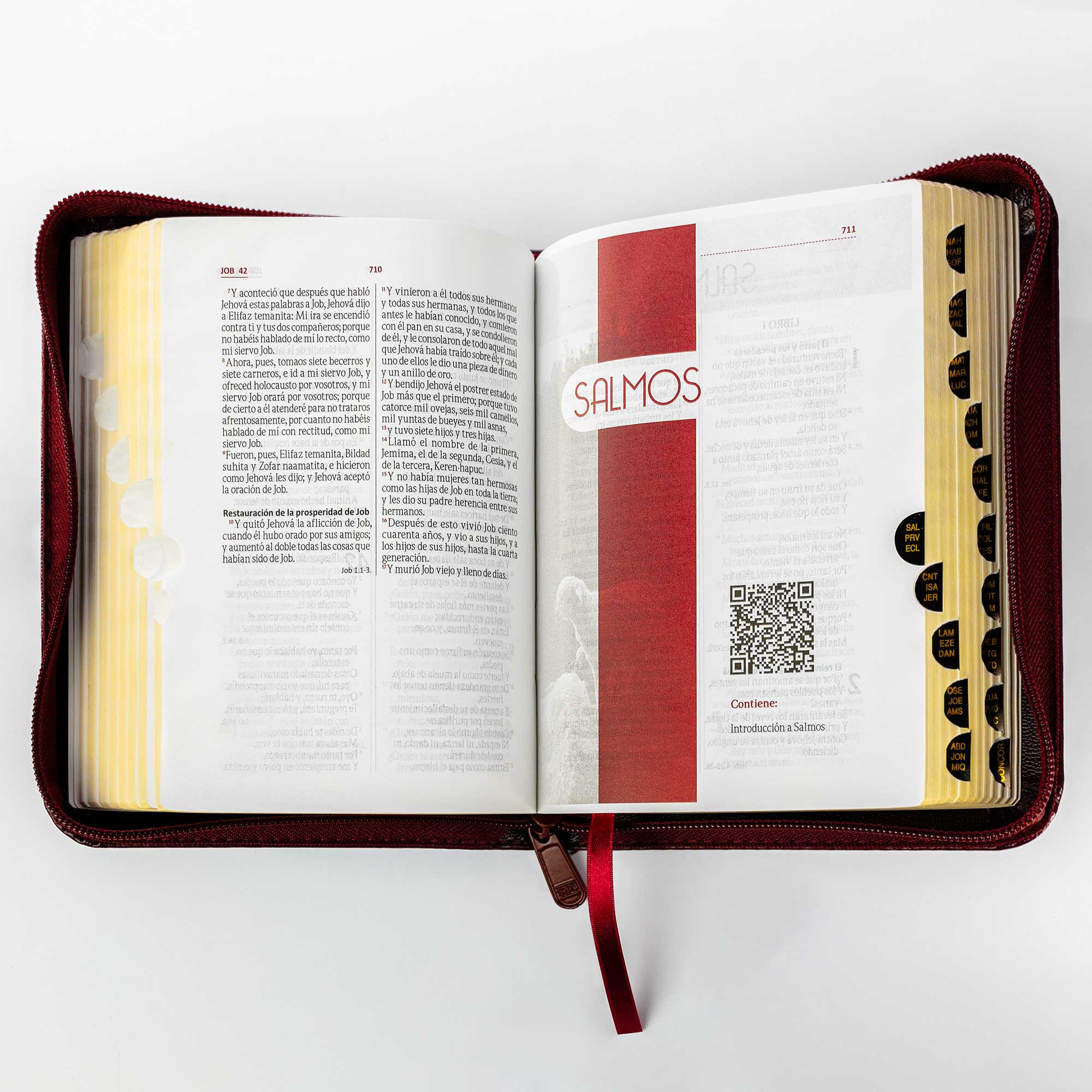 Biblia tamaño y letra pequeña vinotinto