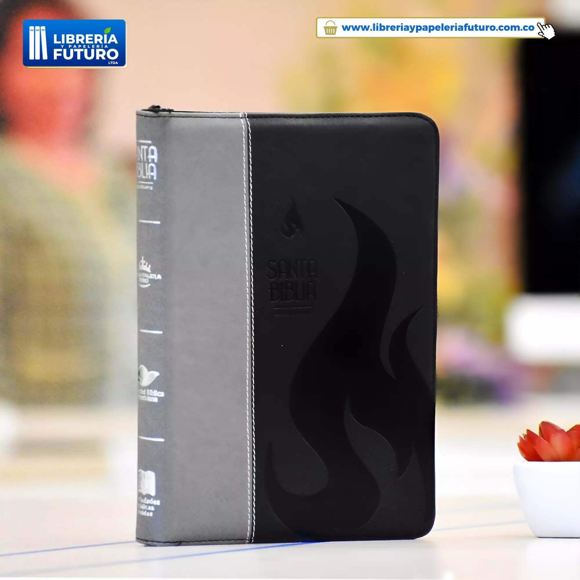 Biblia grande SBC negra/gris
