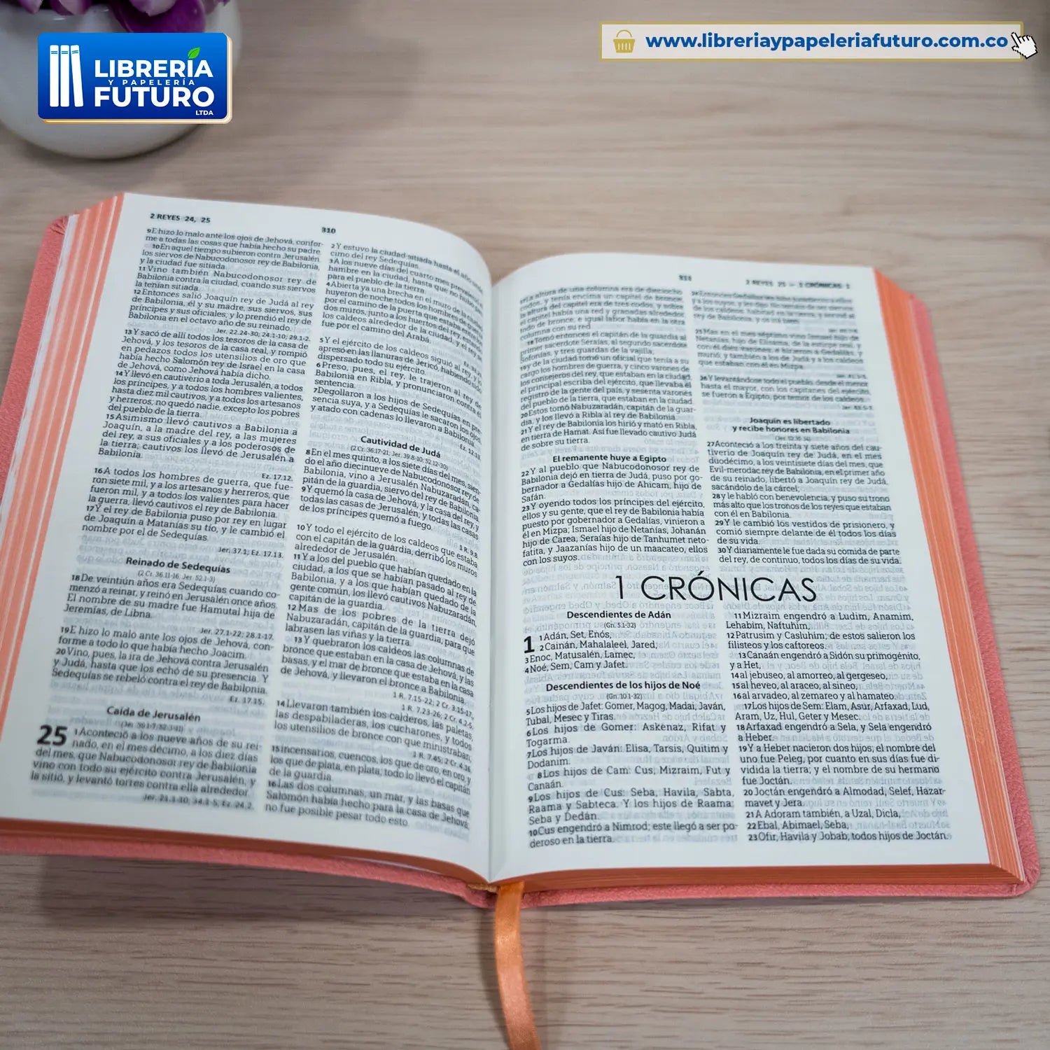 Biblia liviana rosada