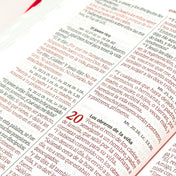 Biblia grande SBC rosada