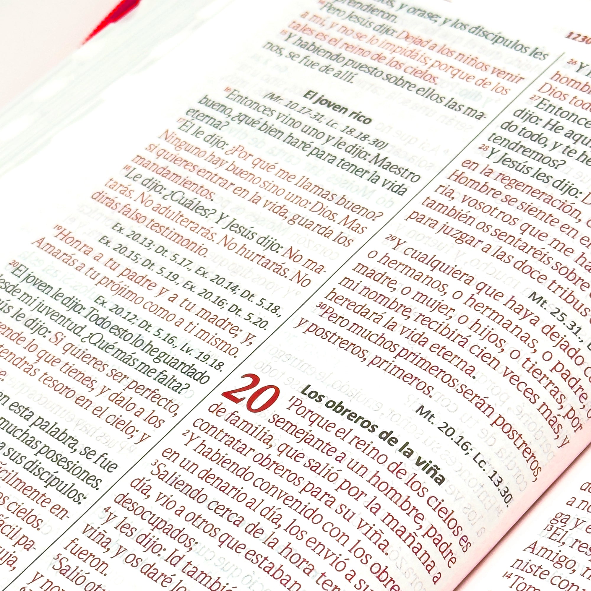 Biblia grande SBC rosada