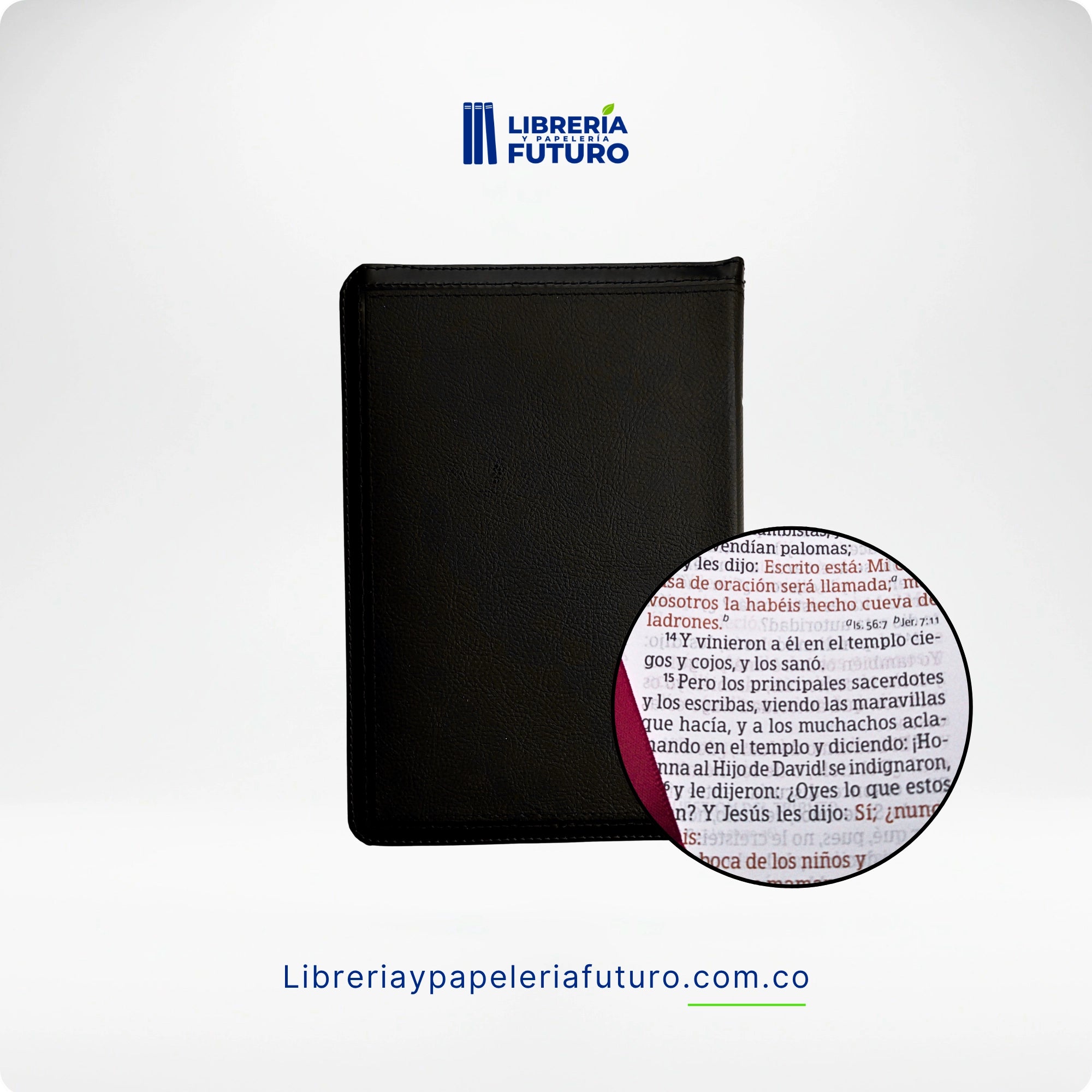 Biblia mediana negra símil piel