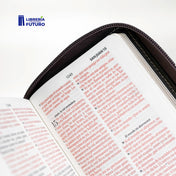 Biblia beige/café tipo chequera