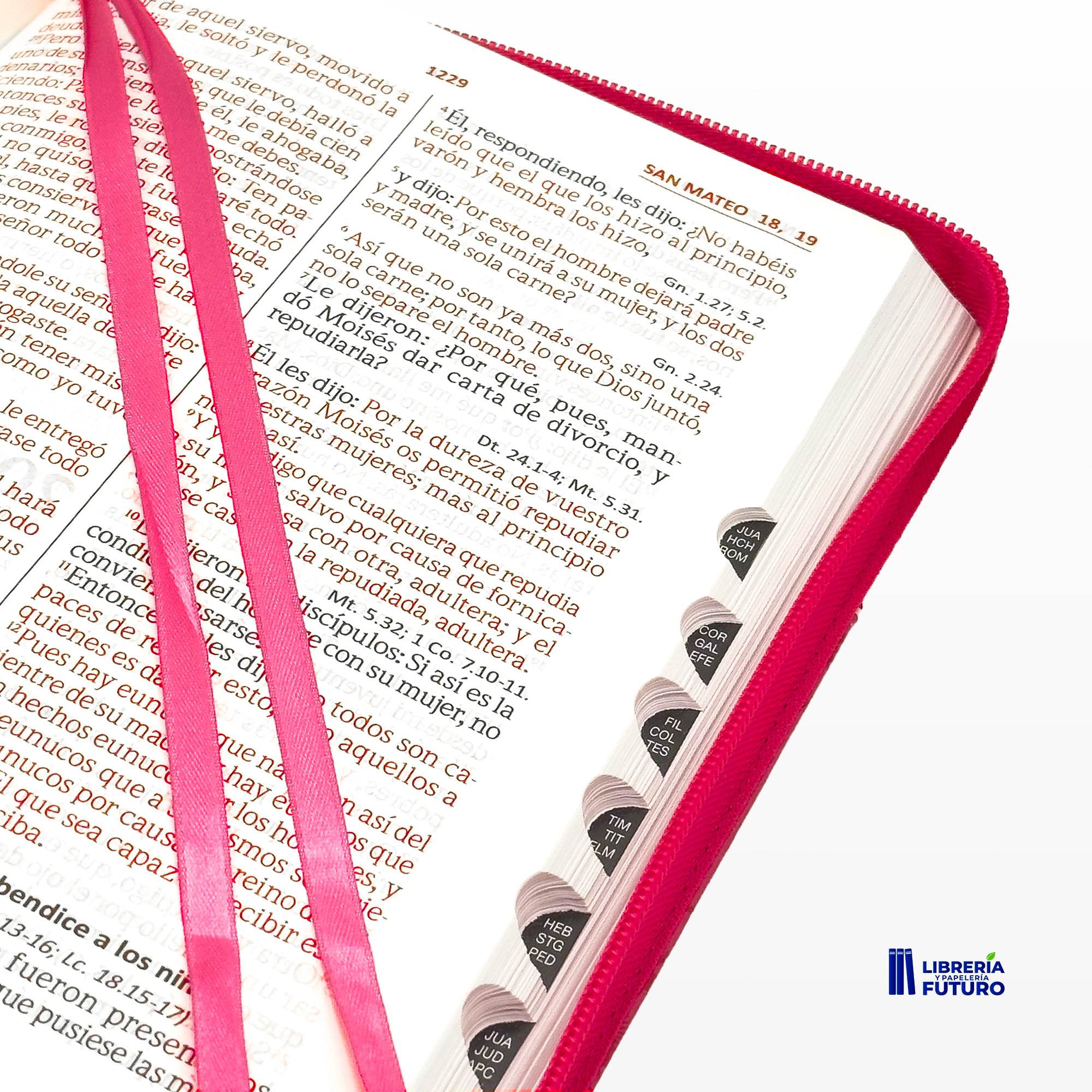 Biblia grande SBC rosada