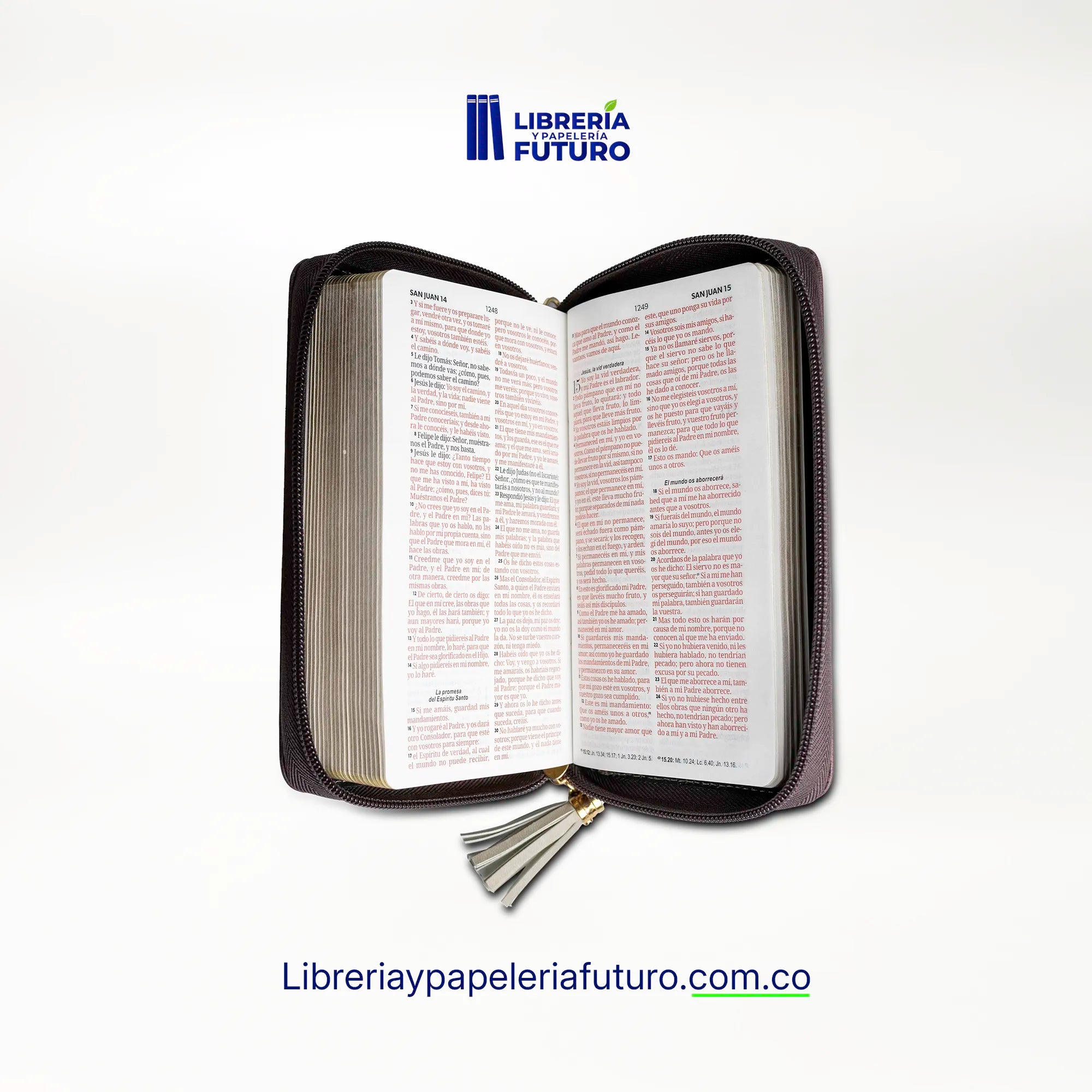 Biblia beige/café tipo chequera