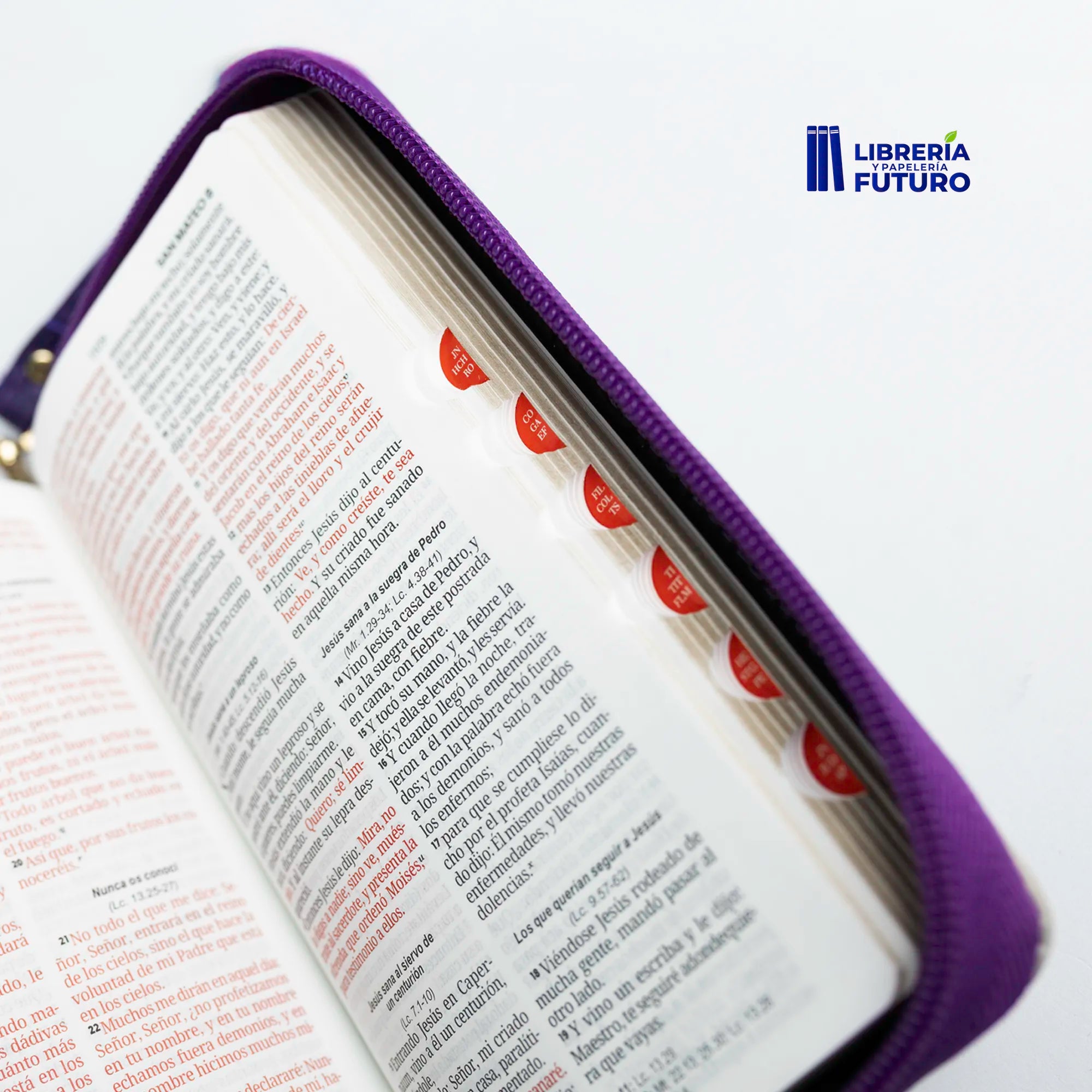 Biblia morada tipo chequera