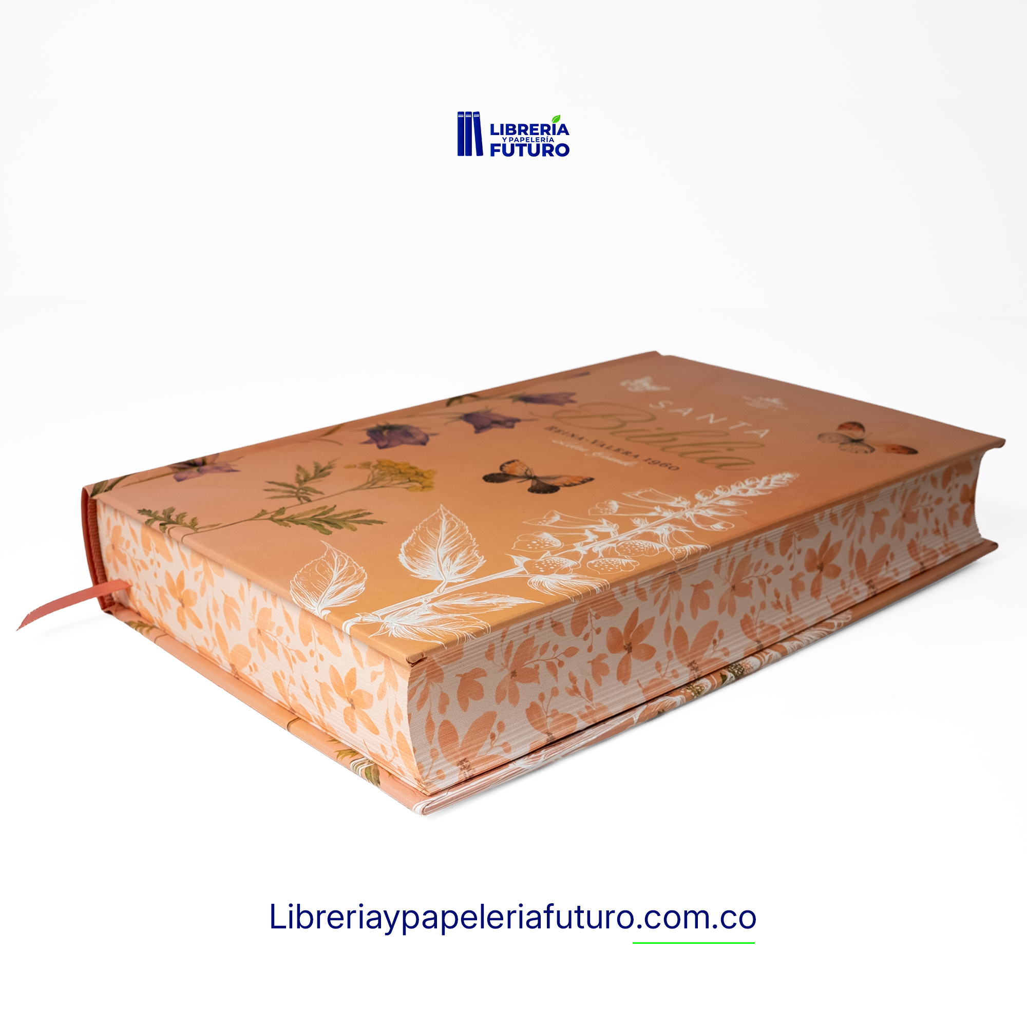 ACOSTADA_FONDO_BLANCO_158bc7b0-f07e-4402-af93-7b1b033a3bd4.webp