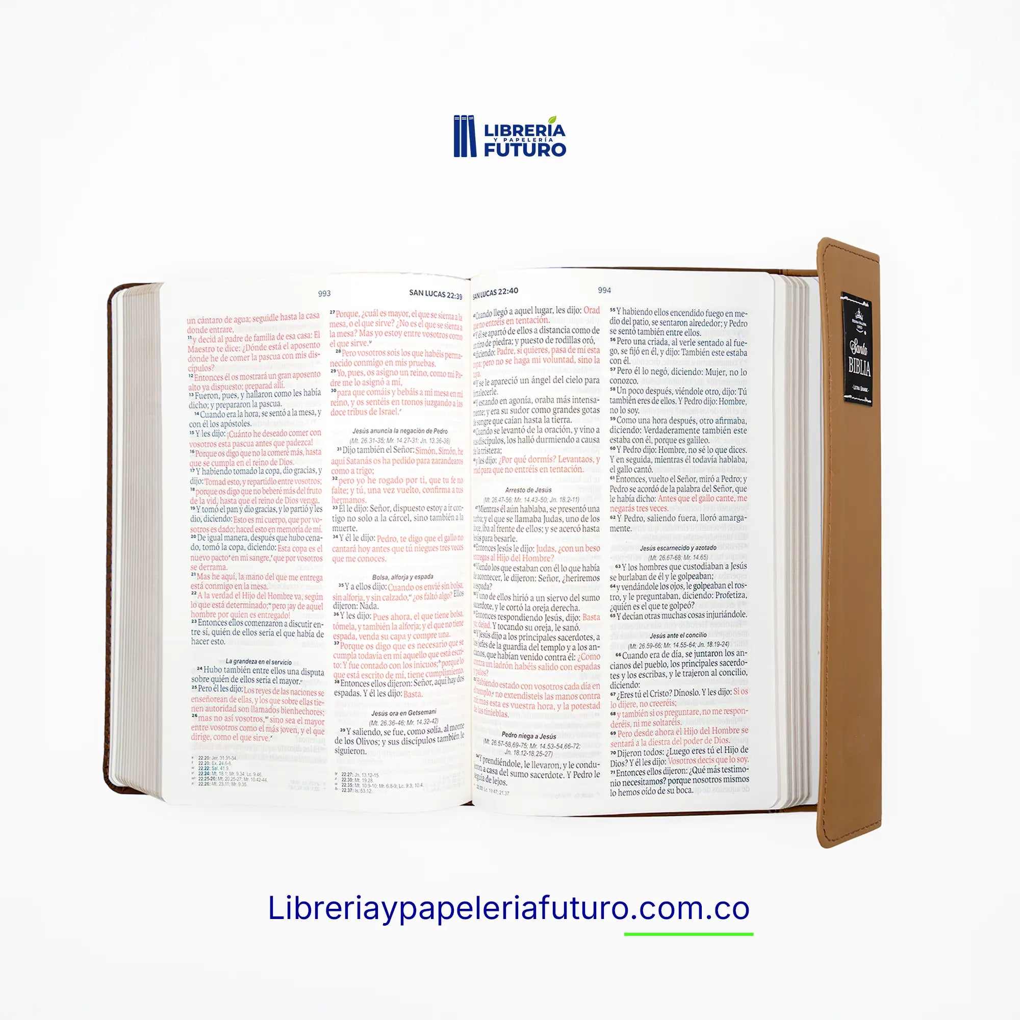 📚 Biblia mediana café broche y asa 🇪🇺