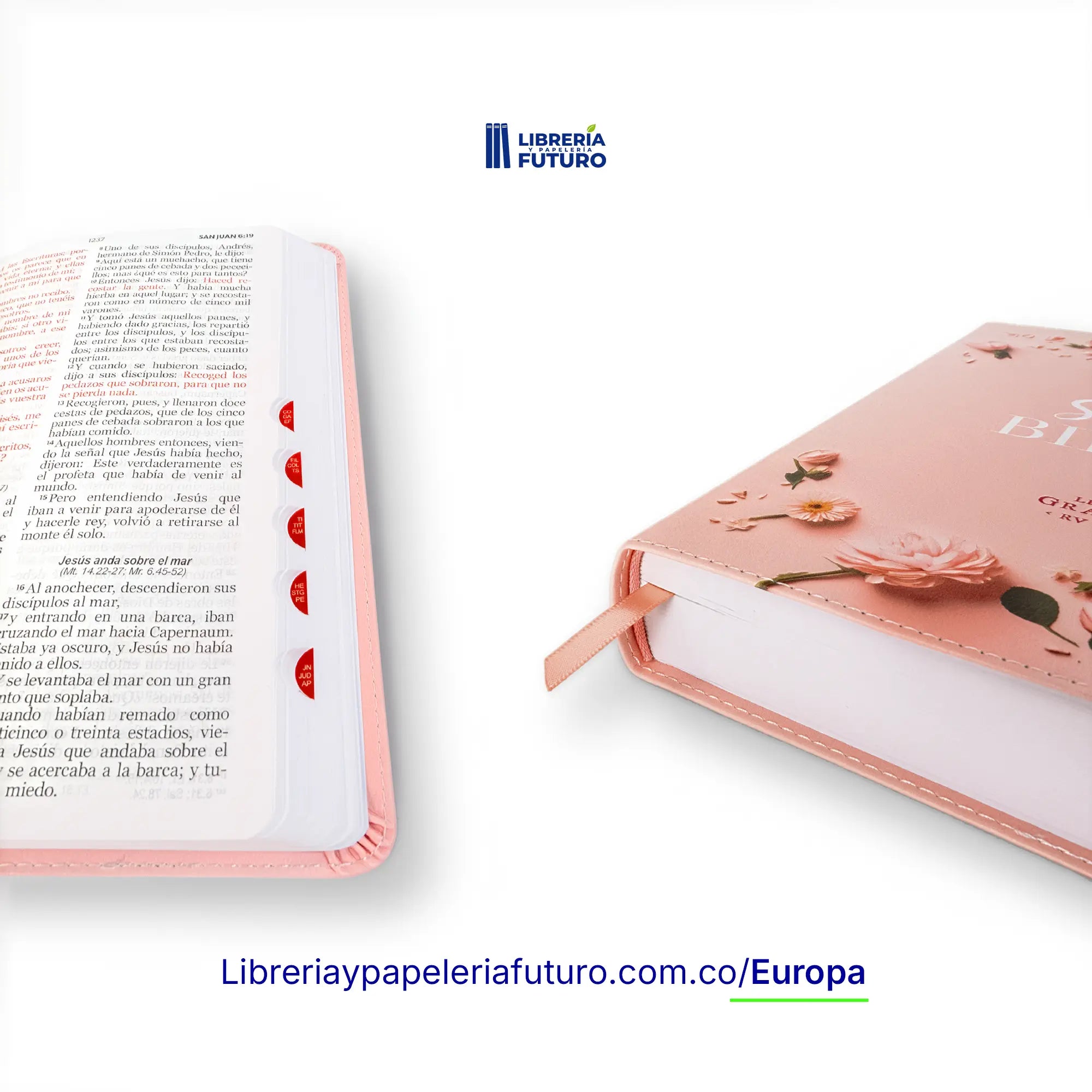 BibliaMedianaRosaprimavera2EU.webp