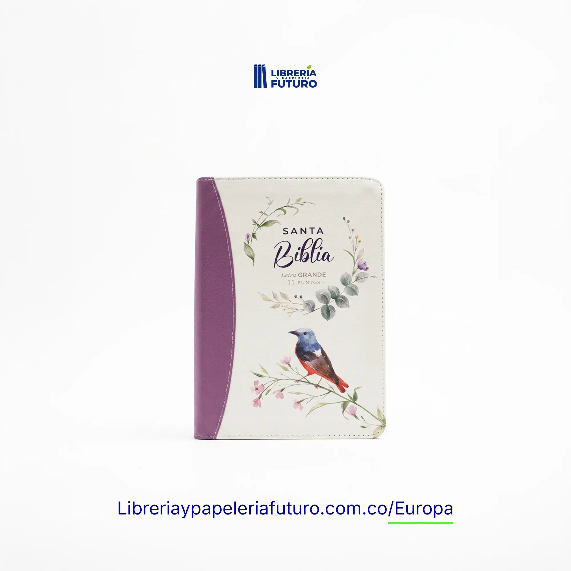BibliaPajarito1.webp