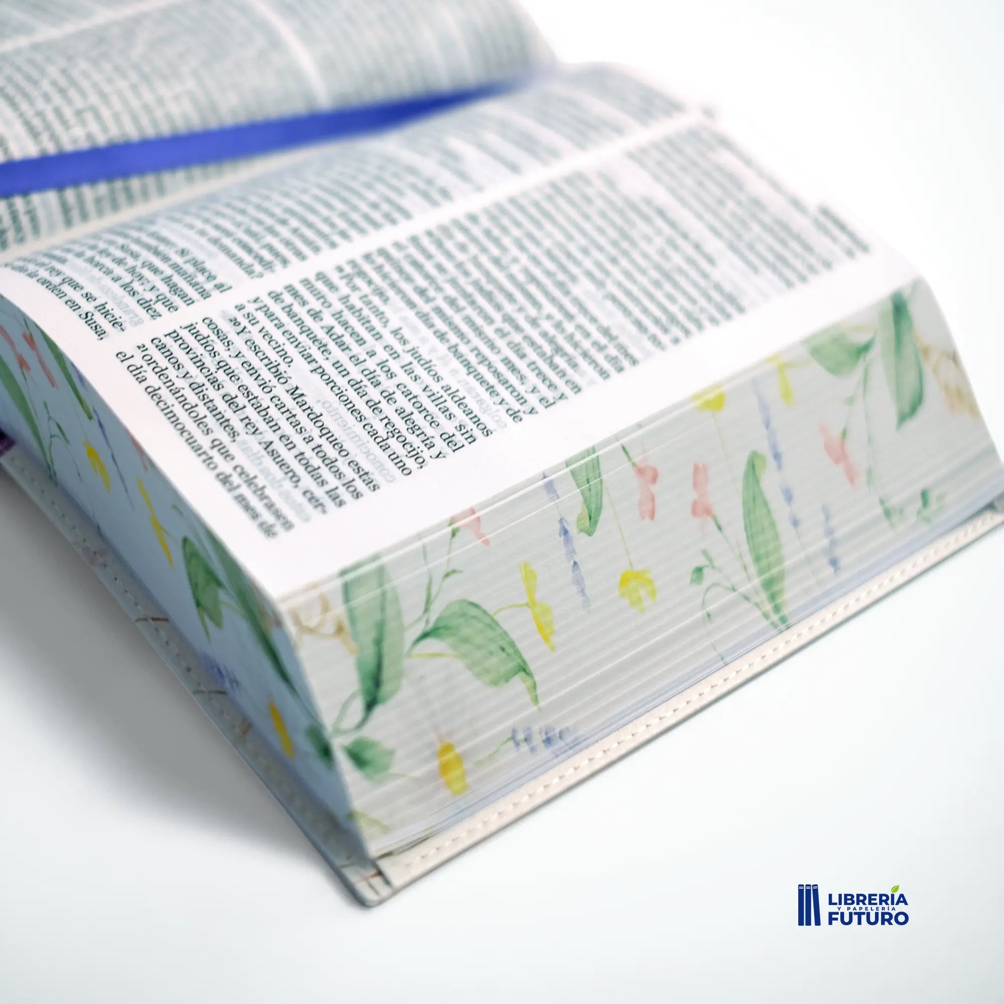 BibliaPajarito3.webp