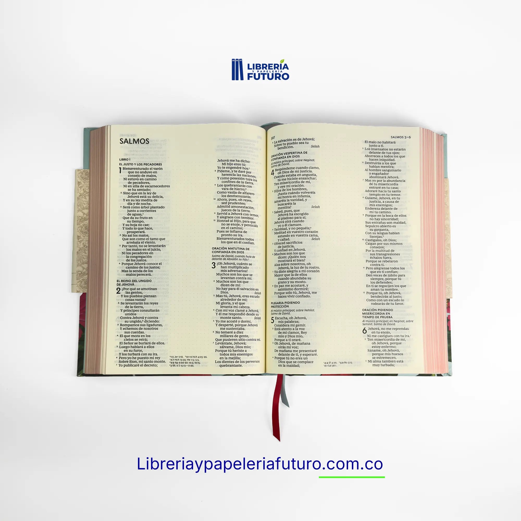 Biblia apuntes artística floral