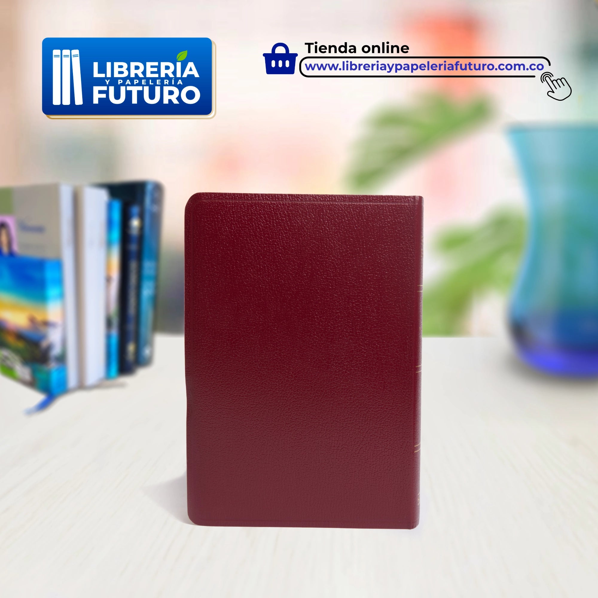 Biblia_borgona_atras.webp