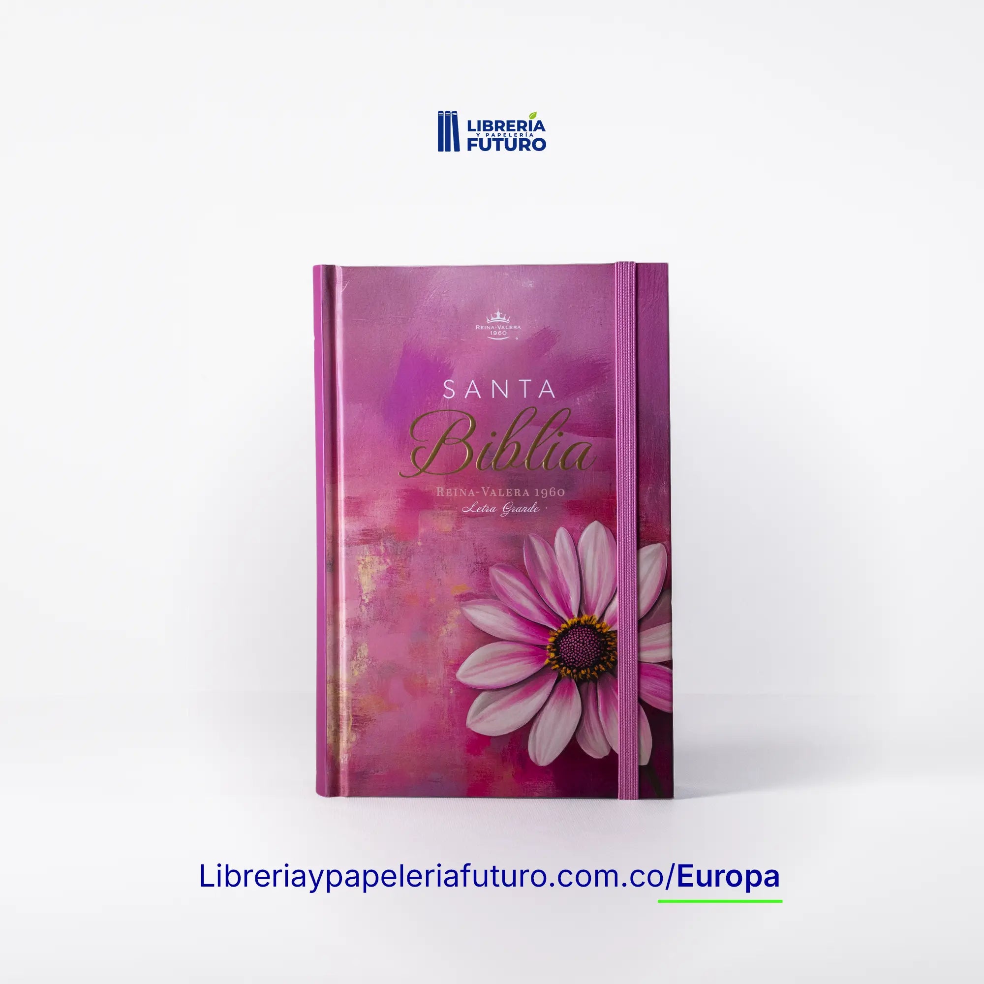 Biblia_fucsia_tapadura_primavera_res_EU.webp