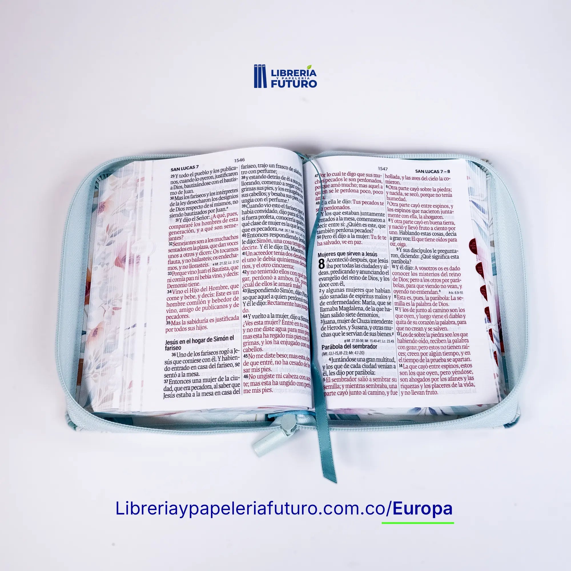 📚Biblia pequeña menta primavera 🇪🇺