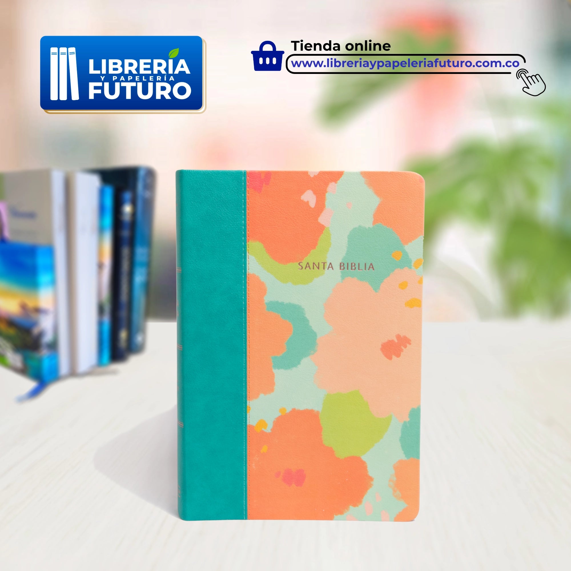 Biblia_multicolor_grande_frontal1_8a9f8d28-146a-4505-afe2-2e38eae15c05.webp