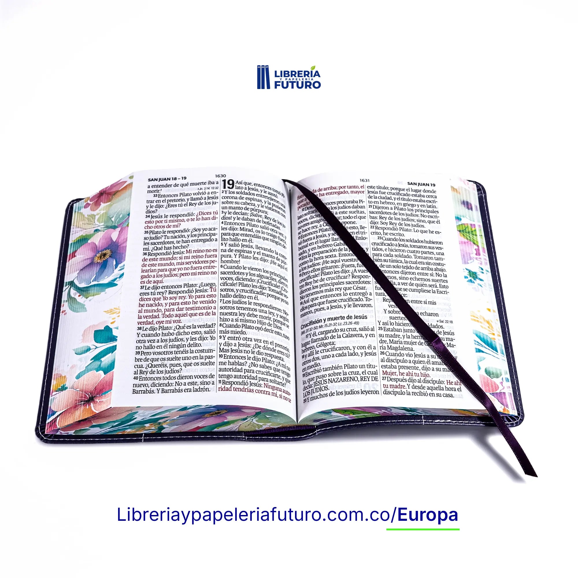 📚Biblia pequeña morada primavera 🇪🇺