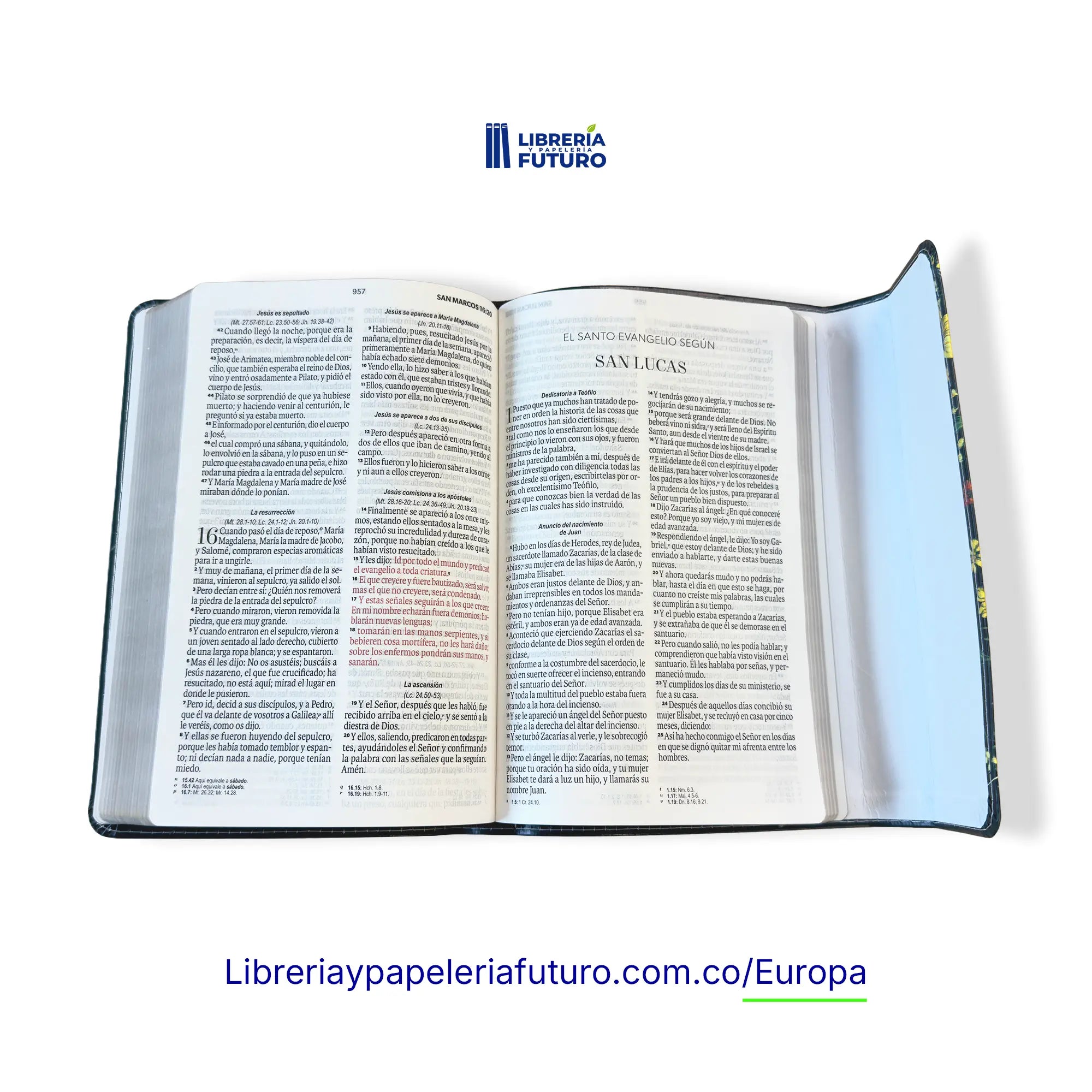 📚 Biblia mediana negra broche y asa 🇪🇺