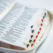📚 Biblia pequeña blanca primavera 🇪🇺