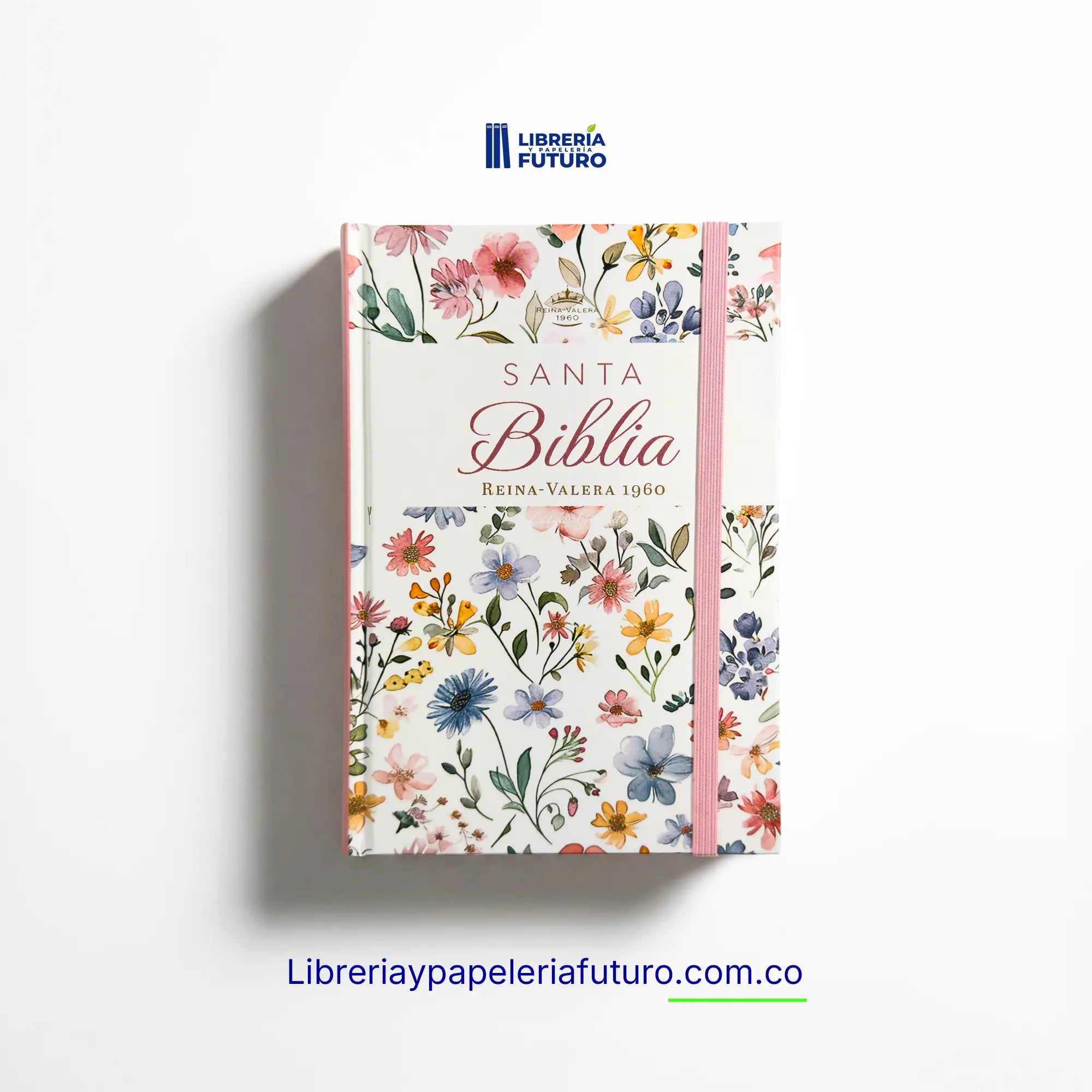Bibliablancatapadura1.webp