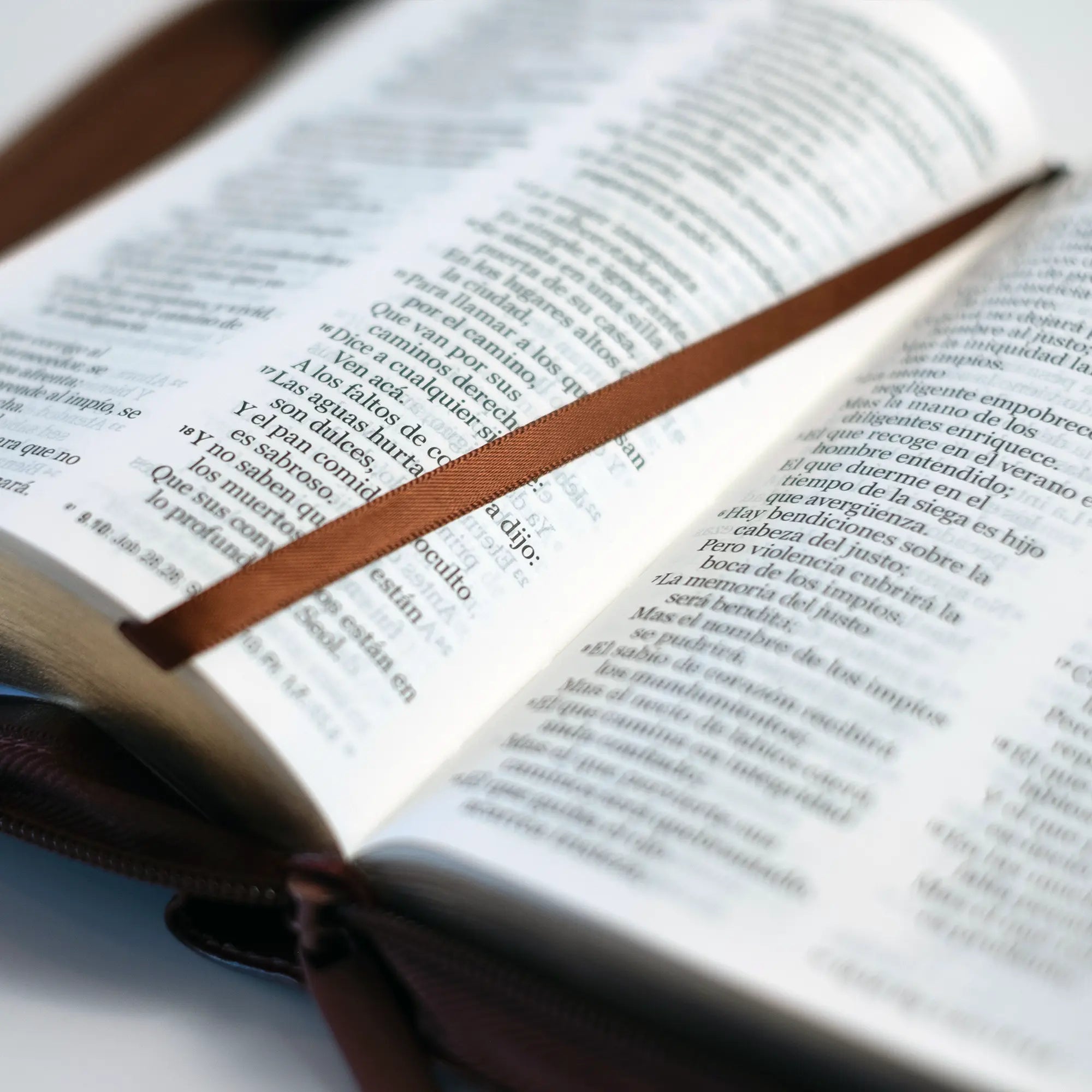 📚 Biblia pequeña clasica cafe 🇪🇺
