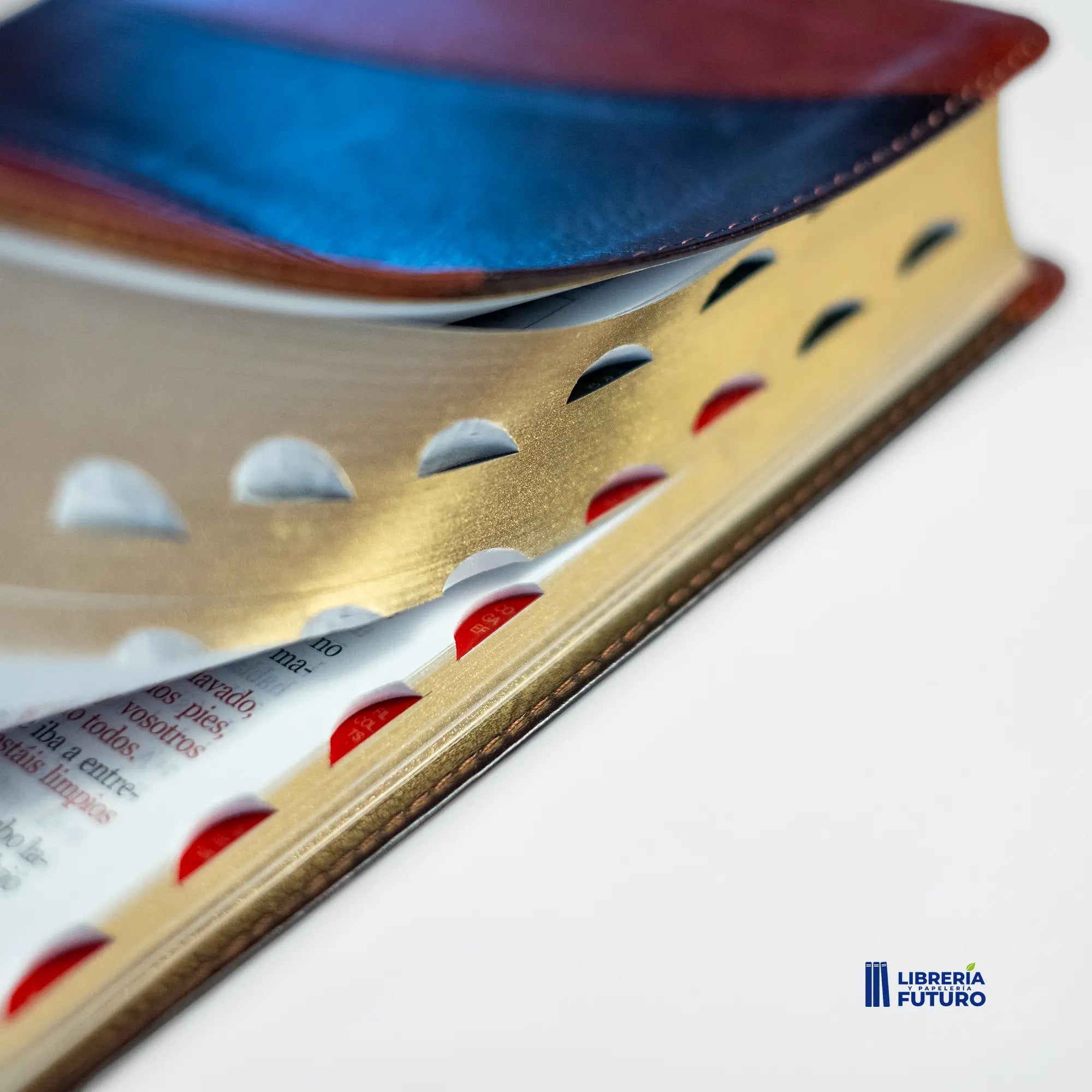 📚 Biblia mediana duotono café 🇪🇺