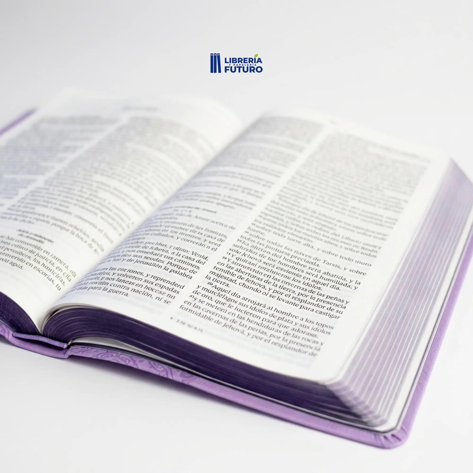 Bibliadamascolila3.webp
