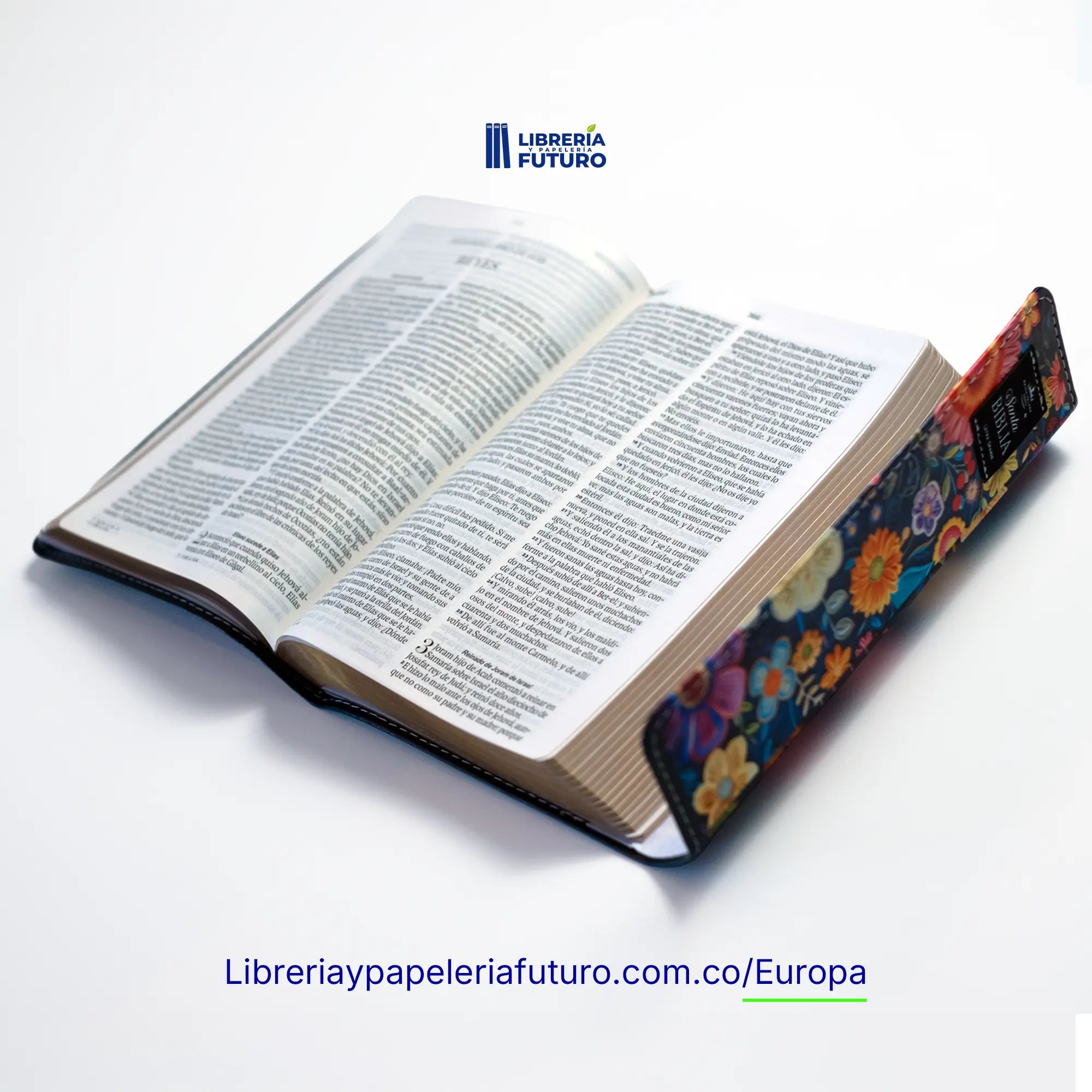 Bibliaflorarlbroche4.webp