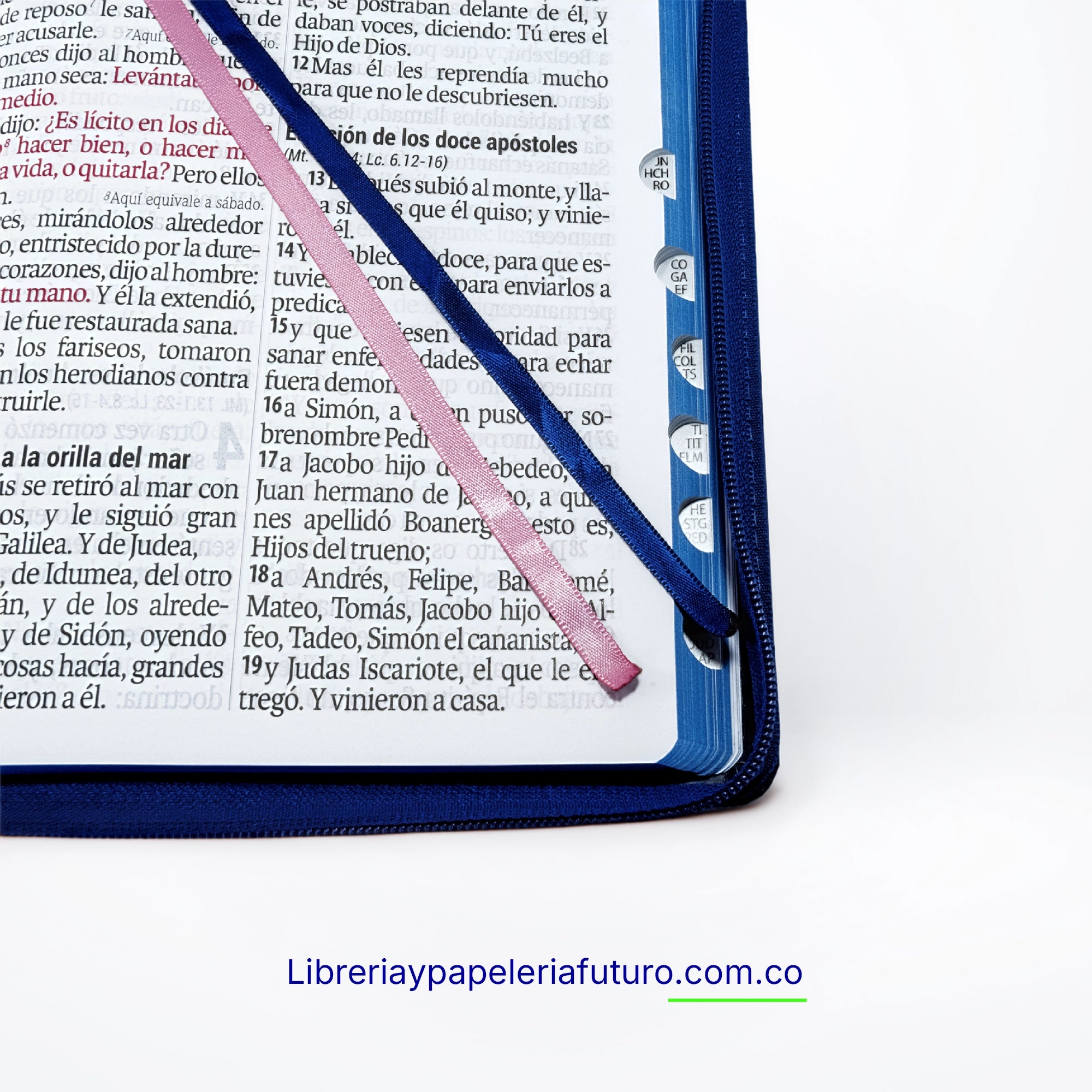 Biblia gigante azul floral