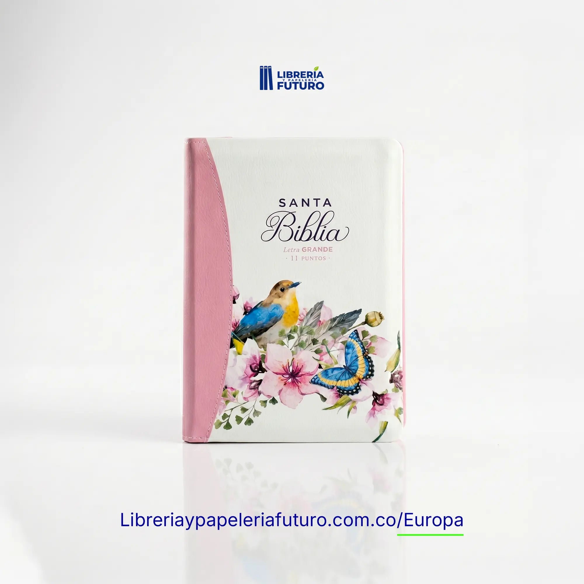 Bibliamariposaave1.webp