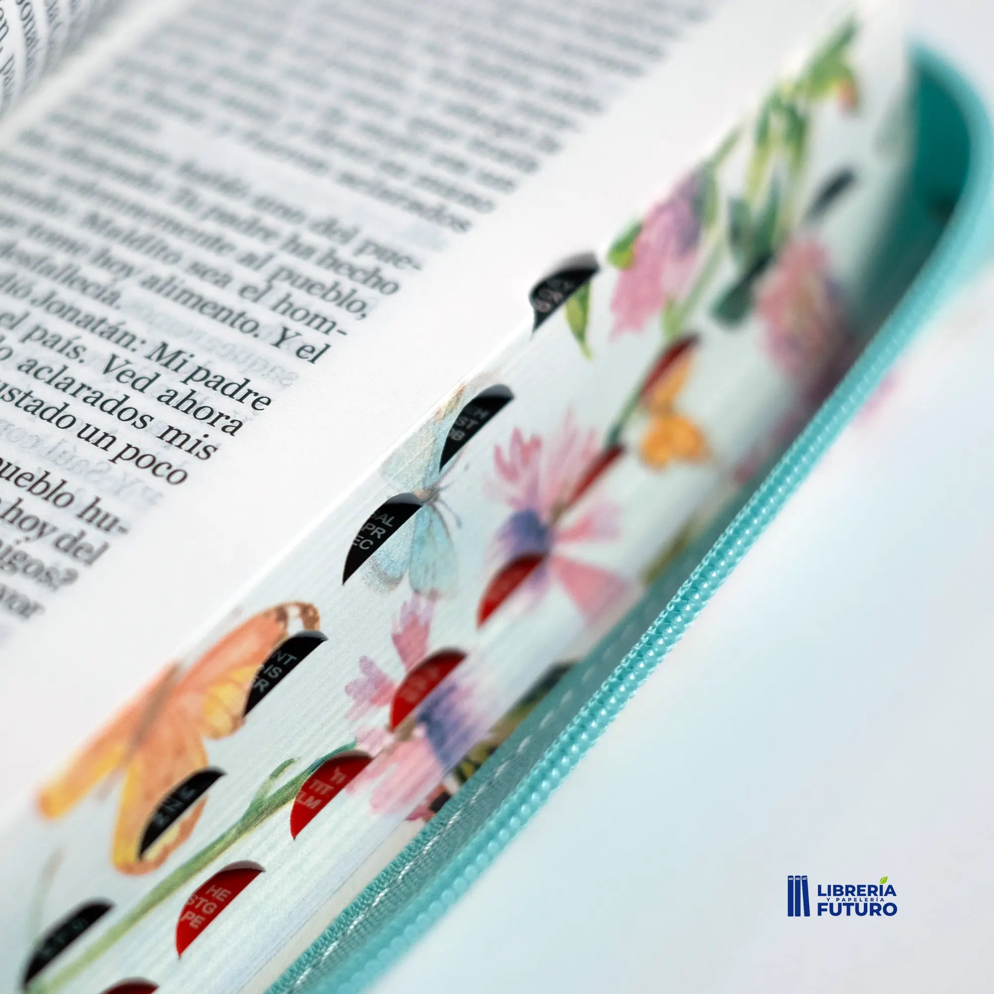 Bibliamariposaturquesa2.webp