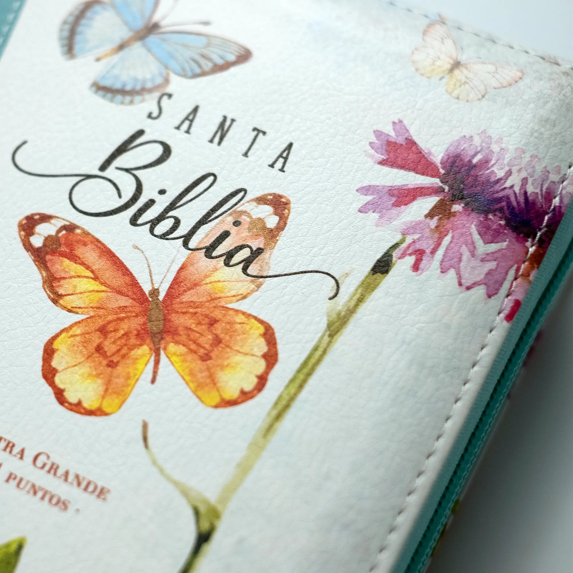 Bibliamariposaturquesa3.webp