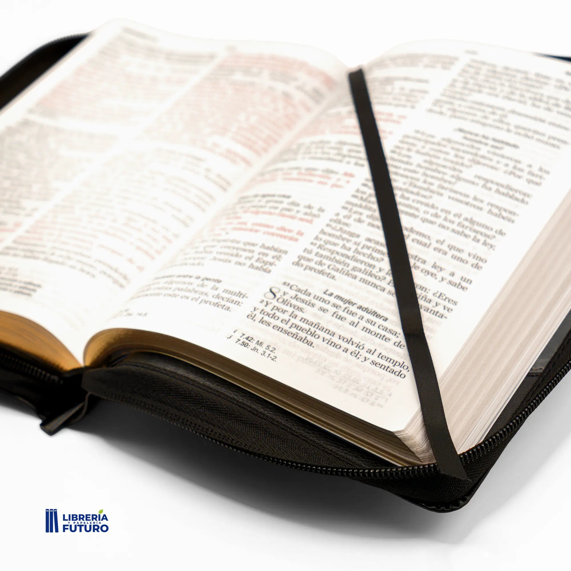 Biblia mediana duotono negro