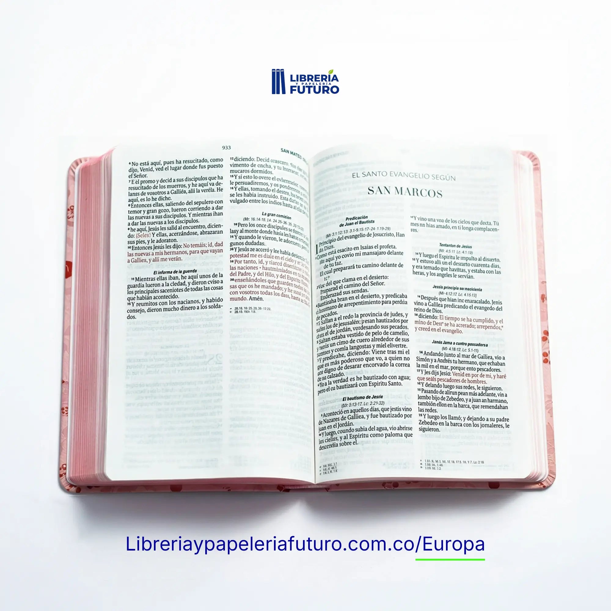 Bibliamedianarosanar3.webp