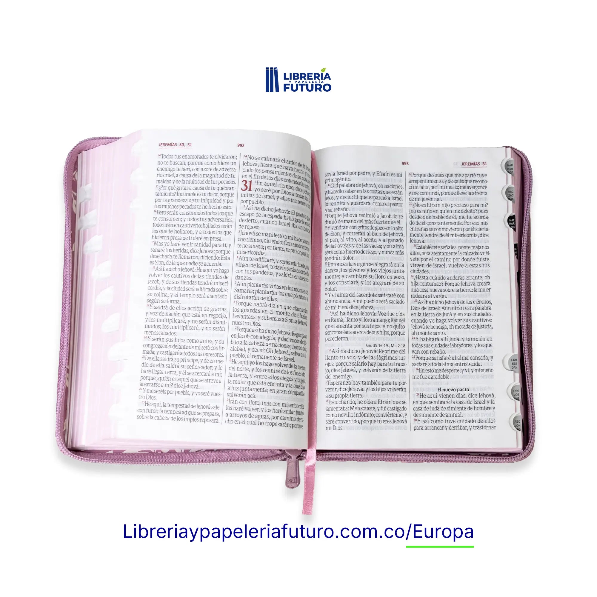 Bibliarosadaeuro4.webp