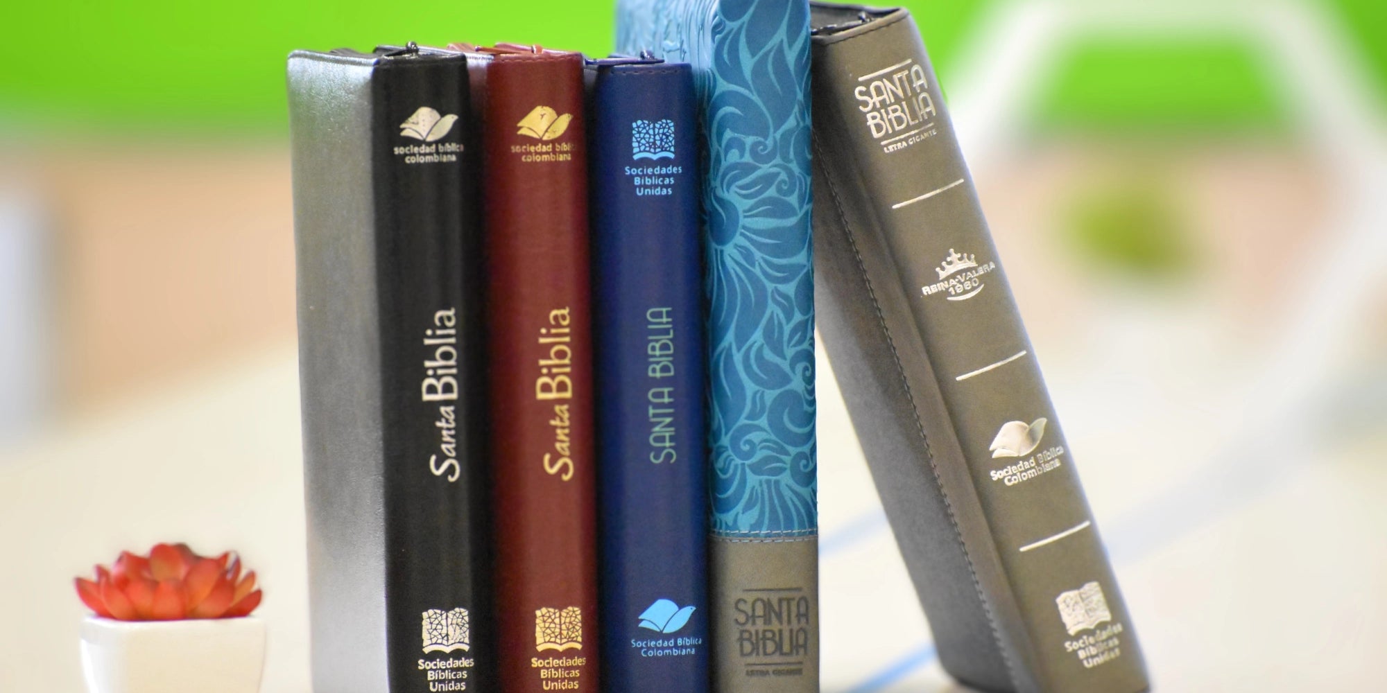 Biblias_Categorias.webp