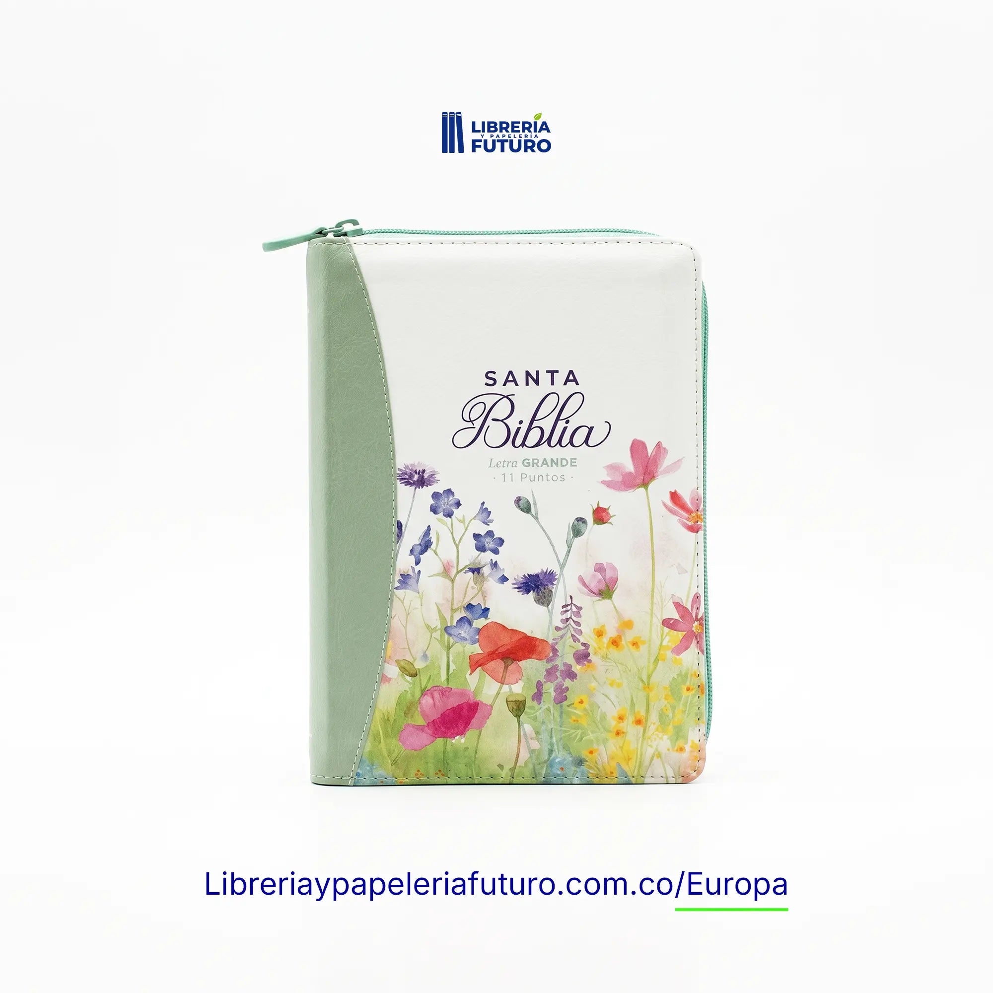 Bibliaturquesapeq1_339f6f04-aba1-413b-aaeb-c8aaefd01b3d.webp
