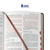 Biblia grande Holman café