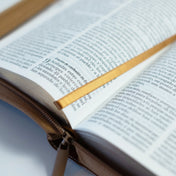 📚 Biblia mediana cafe geométrica 🇪🇺