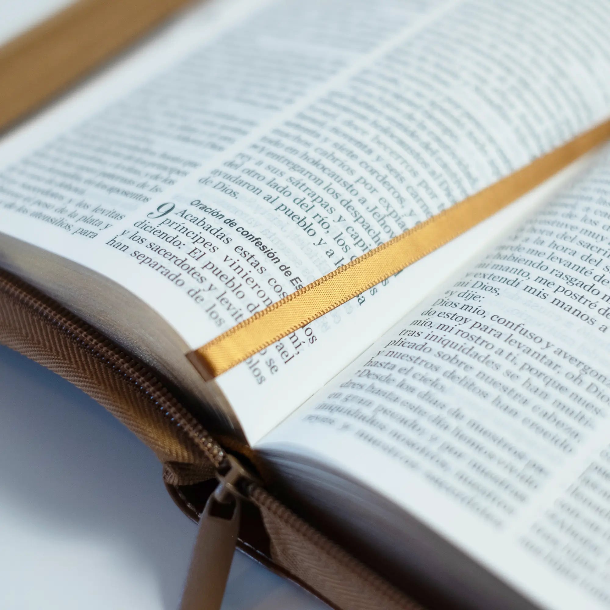📚 Biblia mediana cafe geométrica 🇪🇺