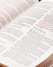 Biblia gigante gris