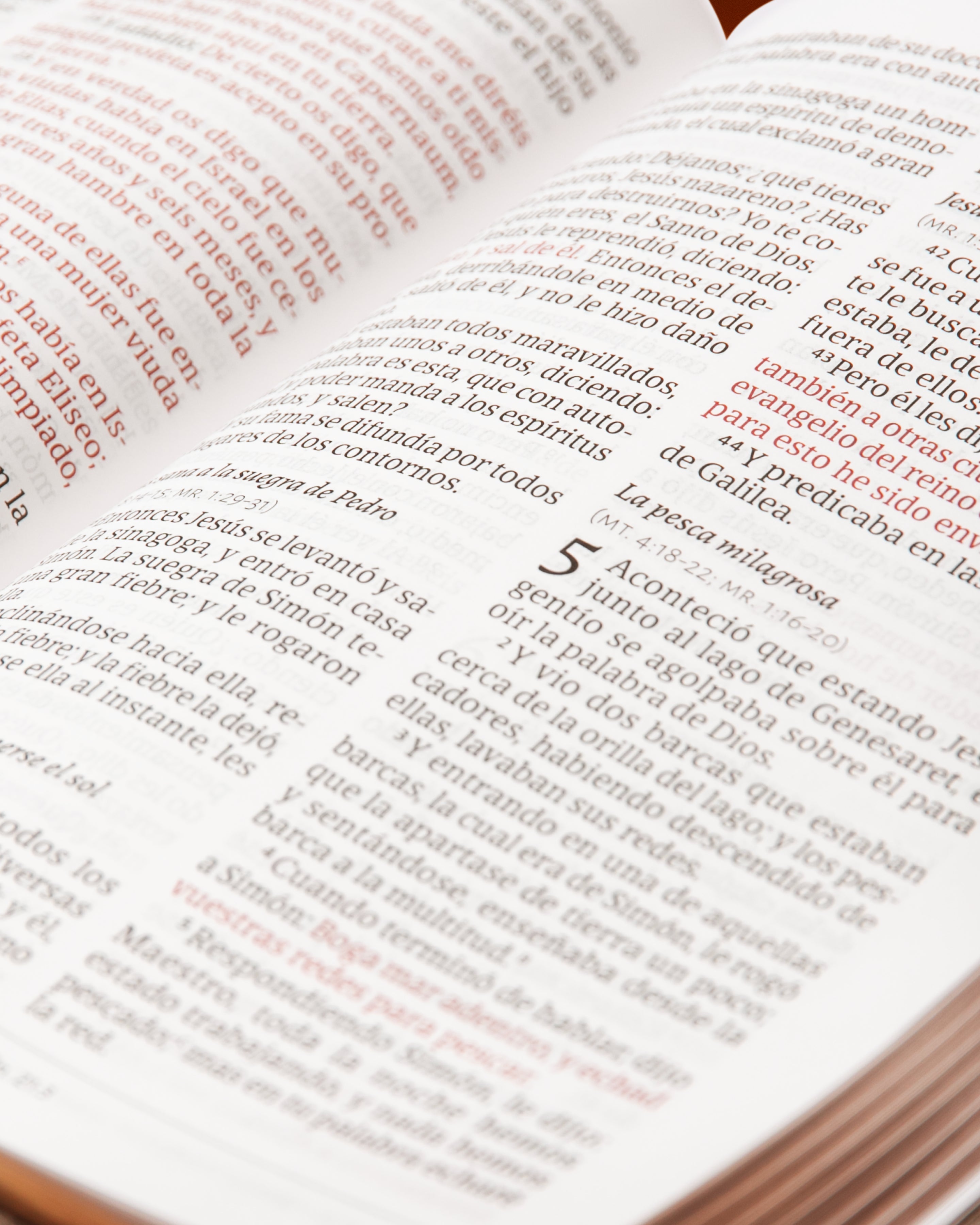Biblia gigante gris
