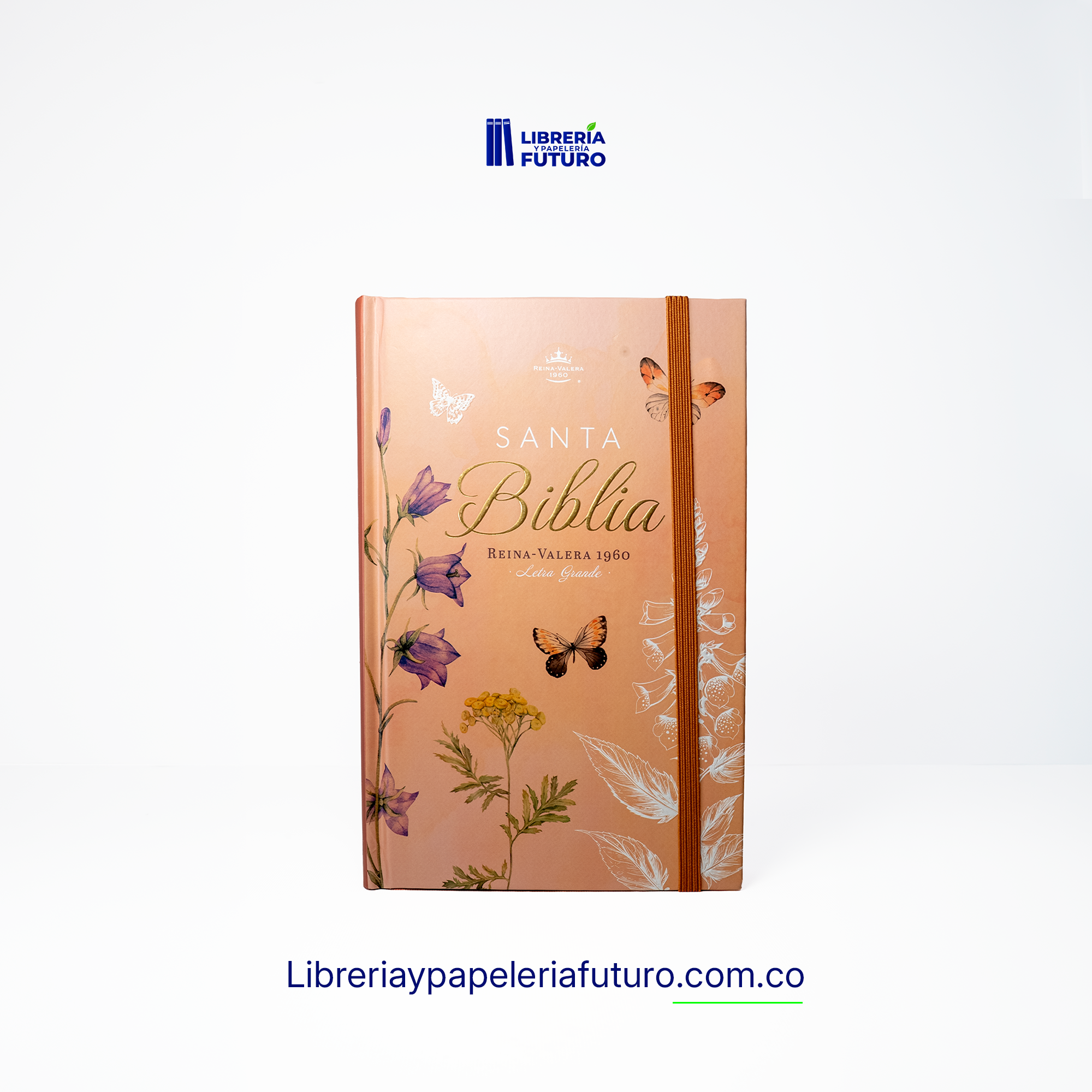 FRONTAL_FONDO_BLANCO_e8ff2310-42dc-4497-90df-57cd3948099f.webp