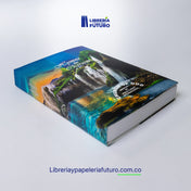 Hymns and Choruses IDMJI - medium special edition (English version)