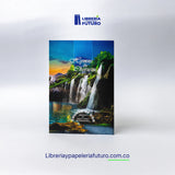 Hymns and Choruses IDMJI - medium special edition (English version)