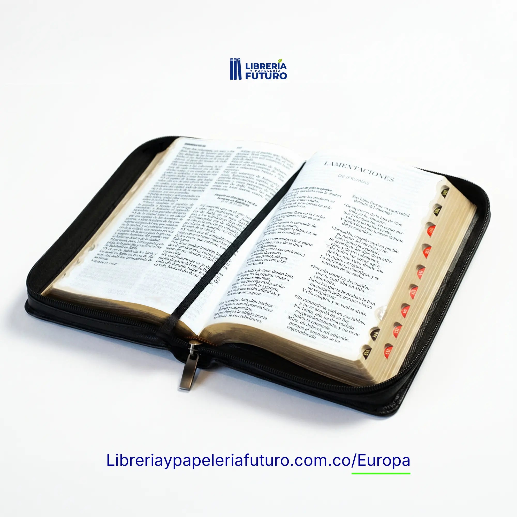 📚 Biblia mediana negro/marron 🇪🇺