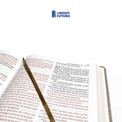 Biblia gris, grande con letra gigante