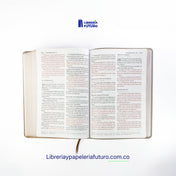 Biblia gigante gris