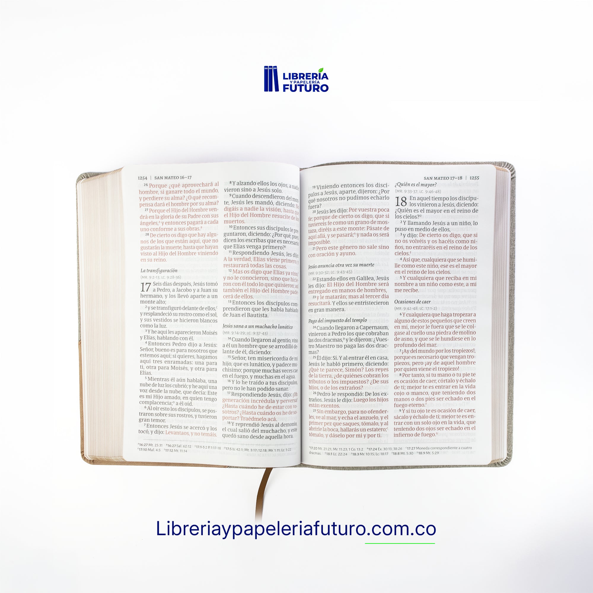 abierta_01_fondo_blanco_a4b595fb-1224-42b9-9461-6d29aaa5816d.webp